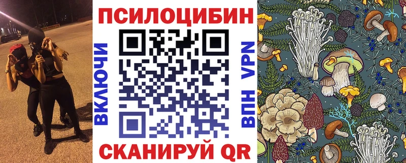 Галлюциногенные грибы Psilocybine cubensis Жигулёвск